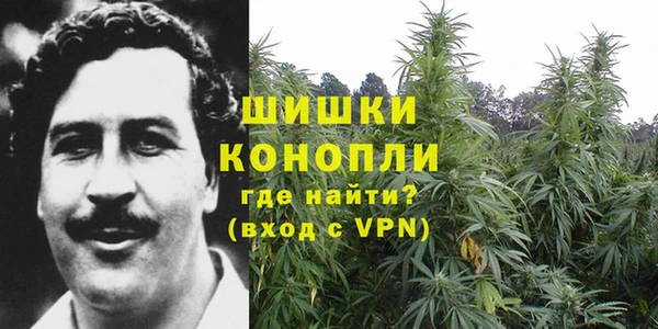 молекула духа Богородск
