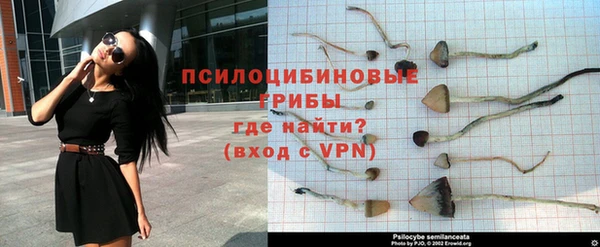 кокаин VHQ Белокуриха