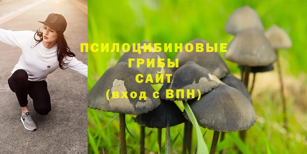 винт Беломорск