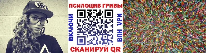 Псилоцибиновые грибы Cubensis  KRAKEN онион  Городец  магазин  наркотиков 