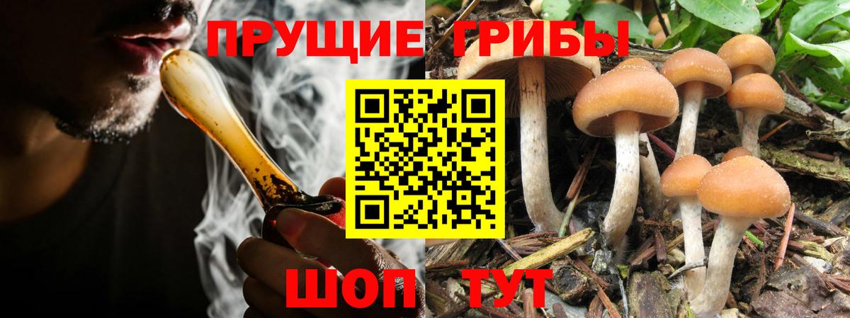 Городец  Галлюциногенные грибы Magic Shrooms  Вход с VPN  Галлюциногенные грибы прущие грибы 